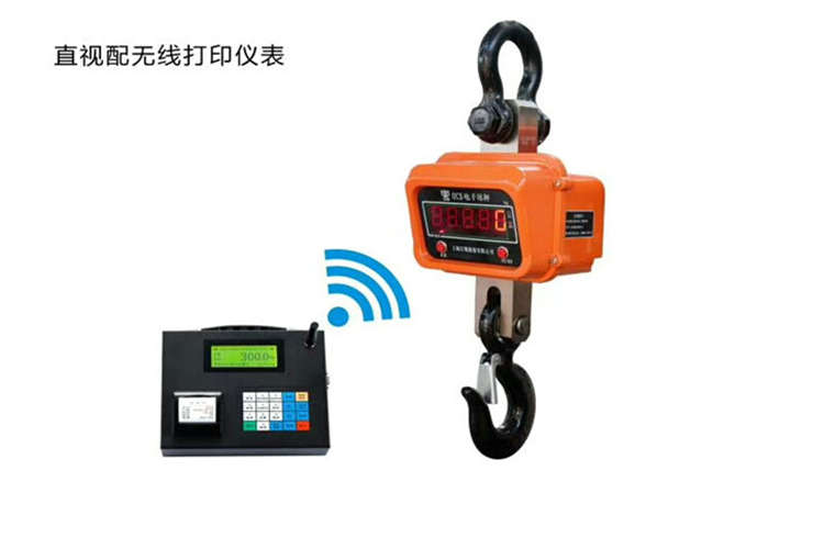 上海手持電子吊稱(chēng)制造商